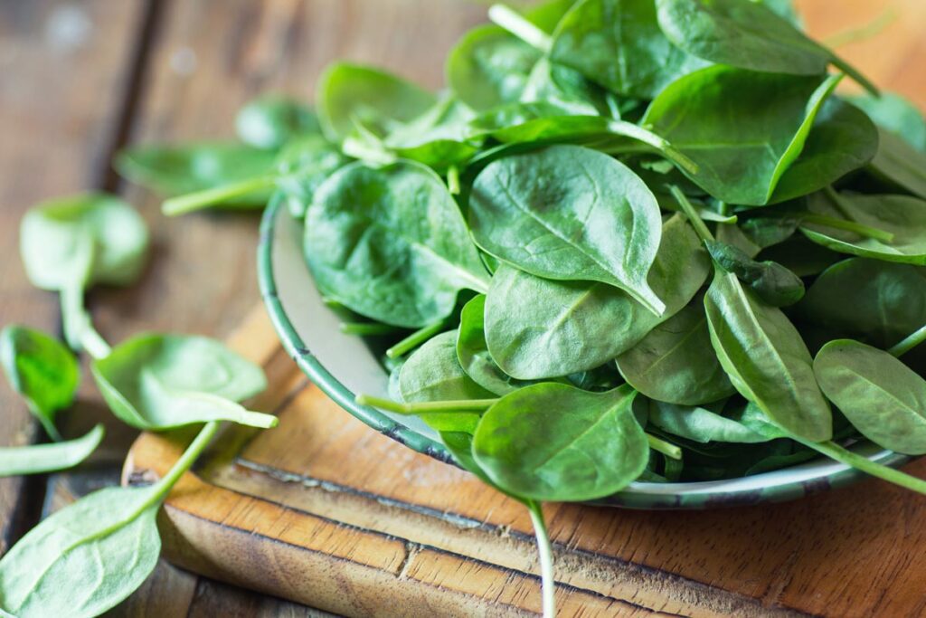 Bowl of Fresh Green Spinach