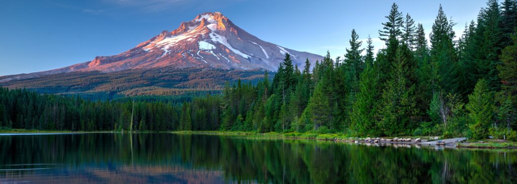 Surrogacy Oregon