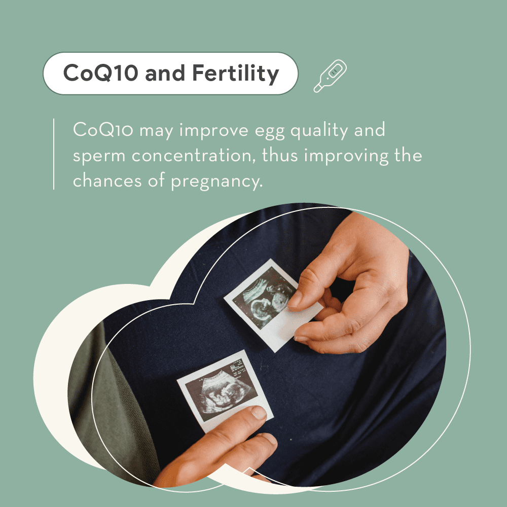 CoQ10 and fertility: CoQ10 may improve egg quality and sperm concentration, thus improving the chances of pregnancy.