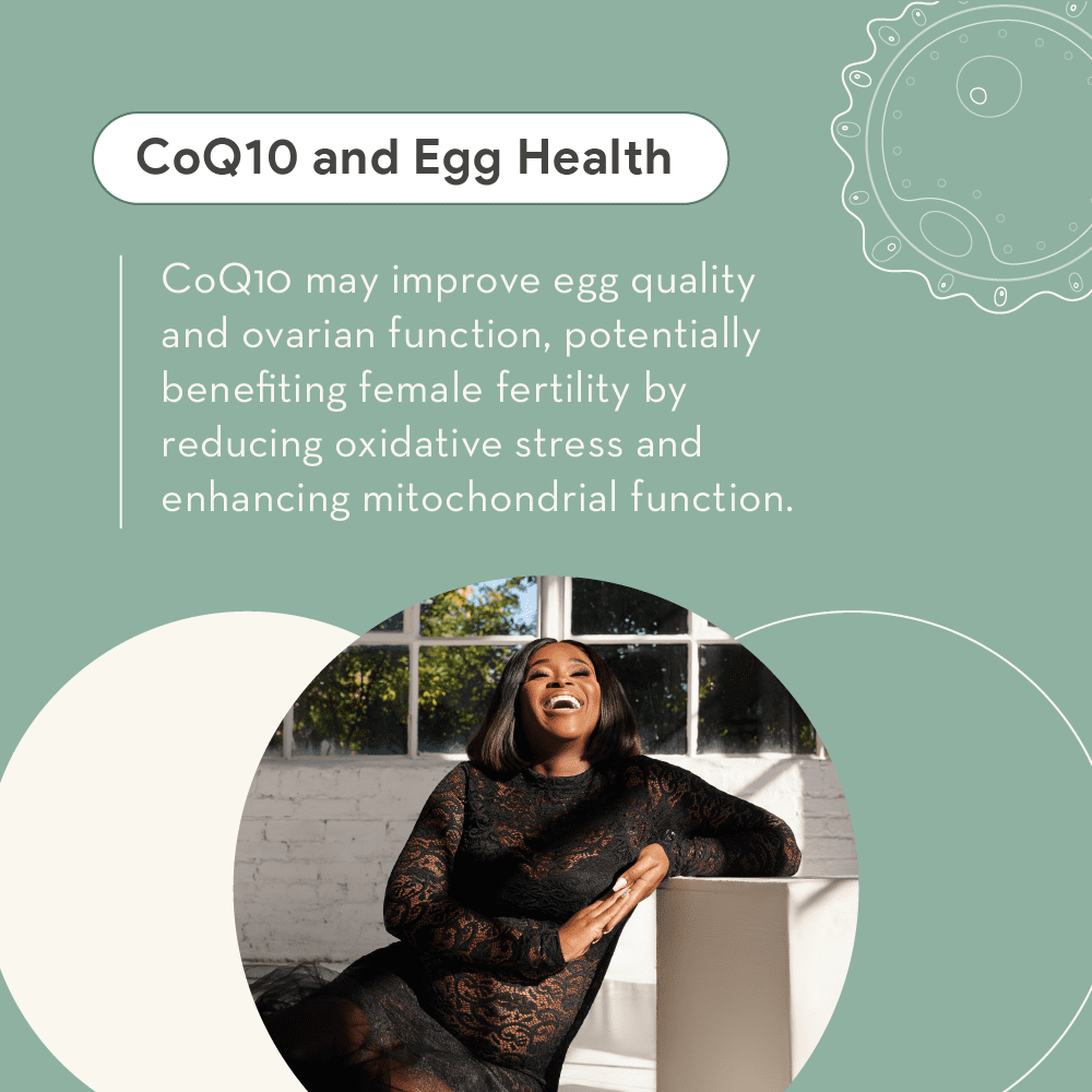 CoQ10 and Egg Health