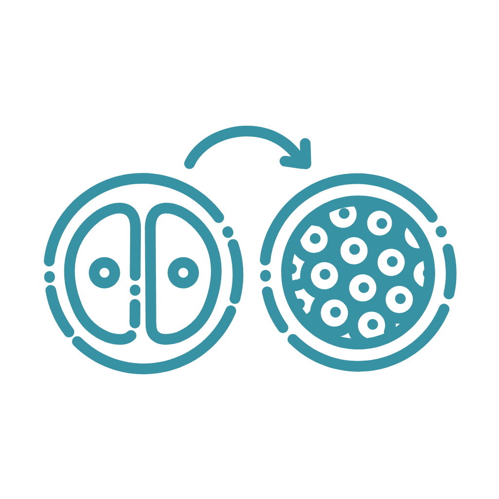 Embryo transfer