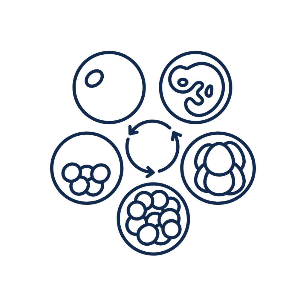 Fertilization & Embryo Development