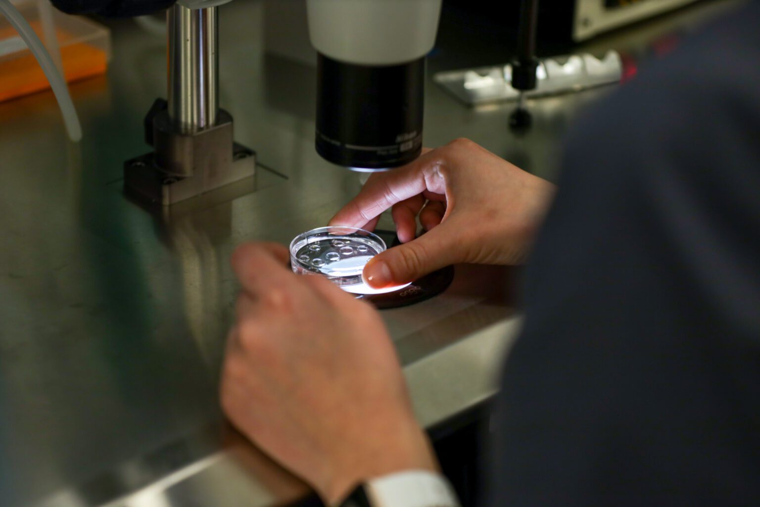 A fertility specialist carefully examines embryos under a microscope in a controlled laboratory environment, ensuring optimal conditions for in vitro fertilization (IVF) procedures.