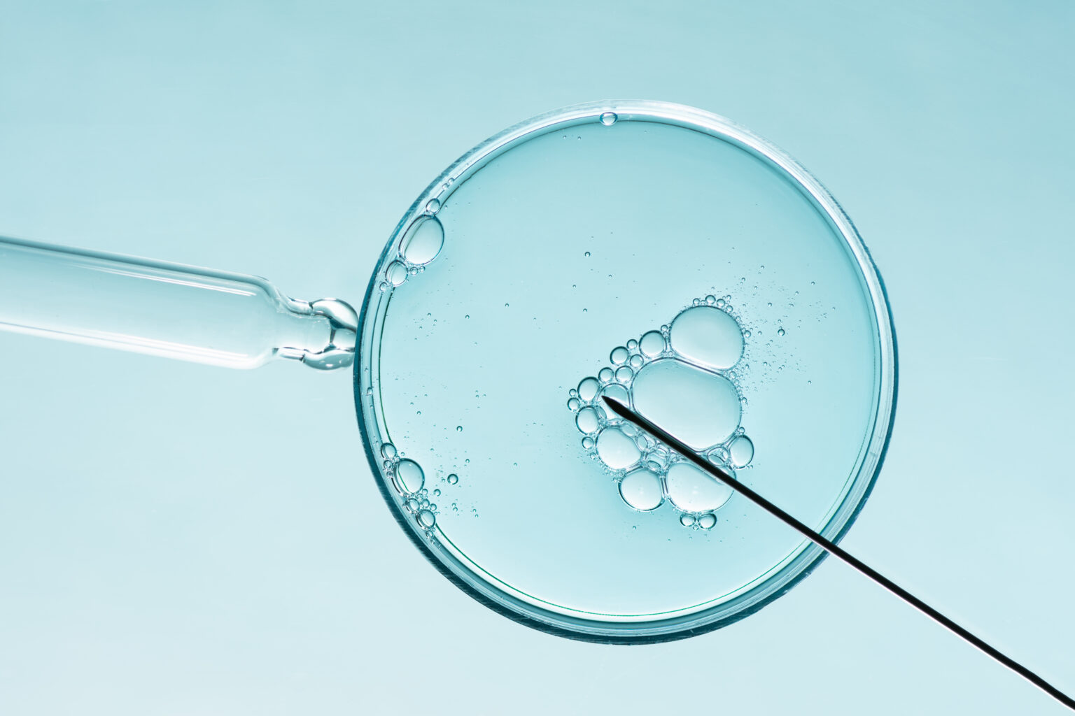A close-up of a petri dish with a pipette and needle, representing advanced fertility treatments such as IVF and embryo development.
