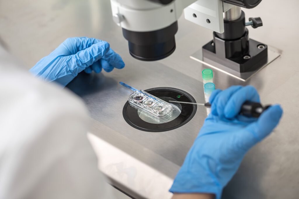 Checking result of in vitro fertilization