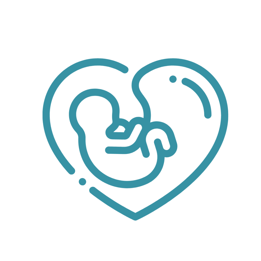 icon for young baby within womb looking like a heart