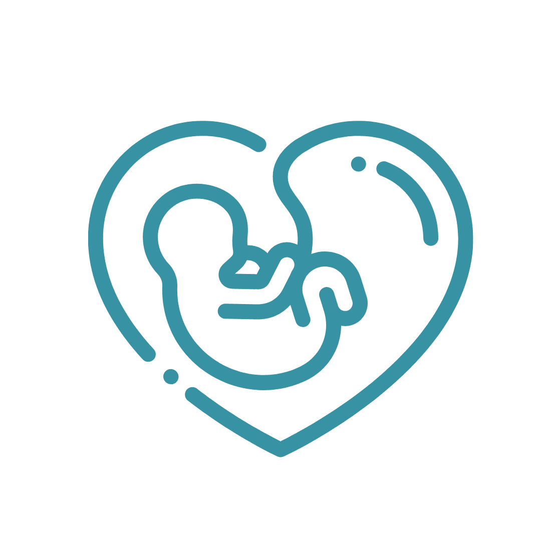 icon for young baby within womb looking like a heart