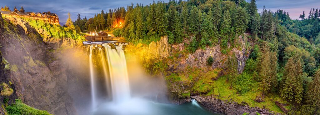 Surrogacy in Washington State