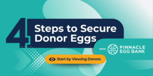 24594cc9-f3c9-4640-b619-a5f195eea14b