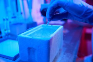 Lab worker immerses straw with embryo in tank of liquid nitrogen