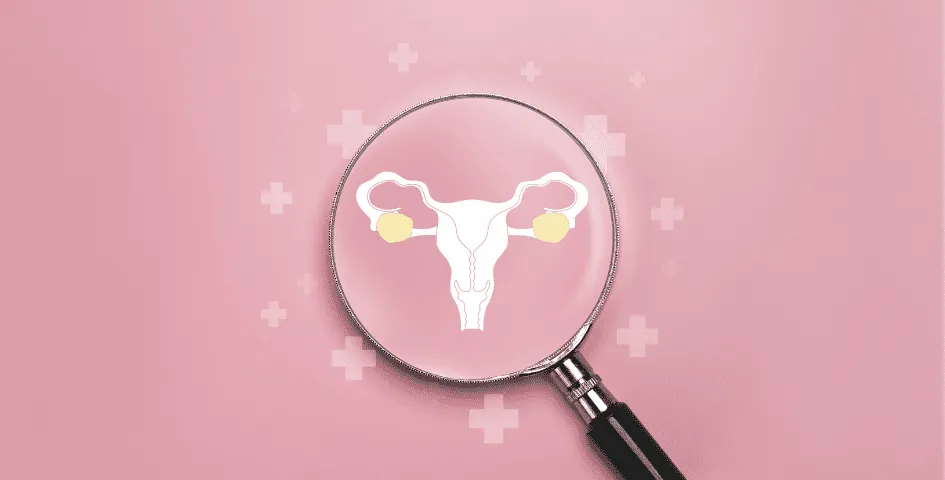 uterine-aging